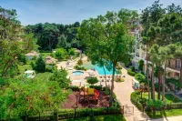 Venera & Anastasia Palace Apartments