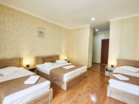 Hotel Old Borjomi Hotels in Borjomi