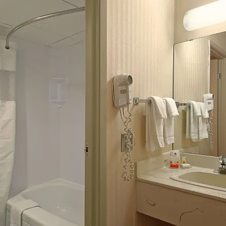 Metro Inn