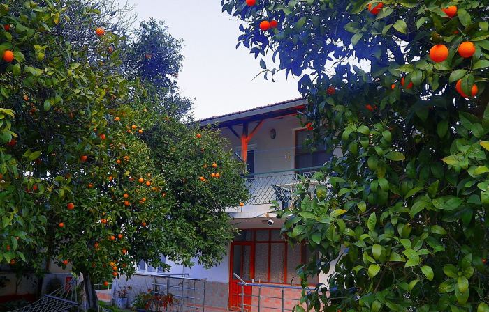 Cirali Irmak Hotel