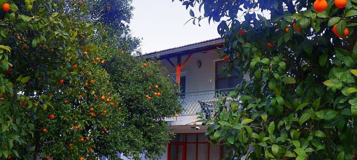 Cirali Irmak Hotel Ξενοδοχεία στην πόλη Kemer