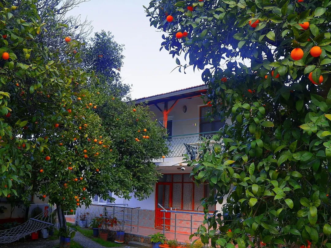Cirali Irmak Hotel - Çıralı