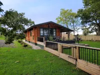 Cosy Wood Cabin in Rural Area Near National Park Hotels in Auchinleck