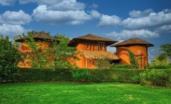 The Earth at Ranthambore