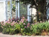 Seehotel & Restaurant Karlslust Hotels in Heidesee