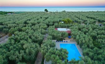 Melograno Holiday Home Featured with Swimming Pool and Private Beach