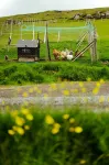 Á Snætu - Serene Village Stay Surrounded by Nature - بيت ضيافة