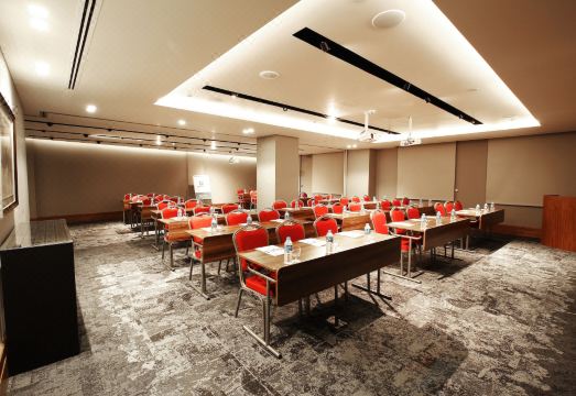 홀리데이 인 부르사 - 시티 센터 객실