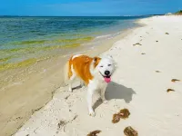 Minutes from sandy beaches. In gated community with pools, hot tub, fitness room