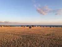 Chalet Overlooking Audierne Bay with Wooded Garden,