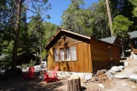 Charming Cabin with Scenic Surroundings - Cozy Mountain Retreat