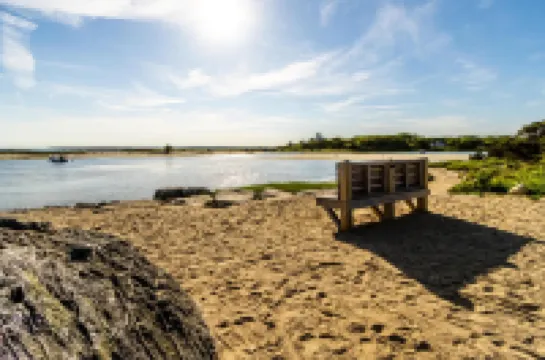 Stylish Interior and Cozy Ambiance - Charming Seaside Getaway