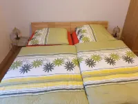 Fewo im Gästehaus Werraquelle, Naturnah, Familienfreundlich, Tierlieb, Gruppen Hotels in Siegmundsburg