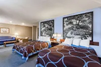 Super 8 by Wyndham East Stroudsburg/Poconos Hotels in Middle Smithfield Township