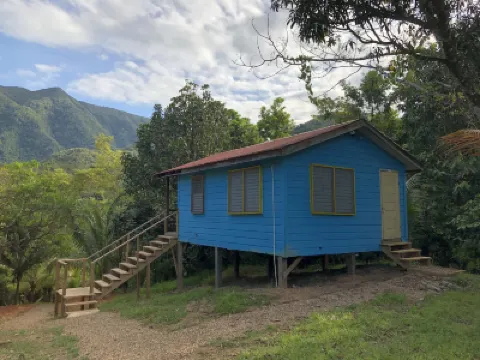 T.R.E.E.S Research Center and Eco Lodge Hotels in 