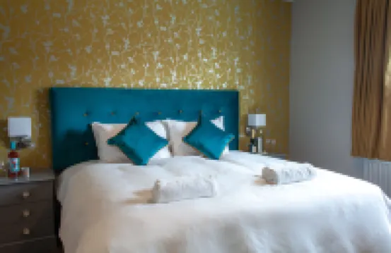 Coach House Inn Hotels in 