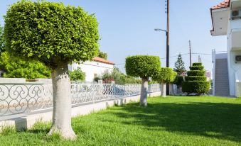 Anixis Hotel & Apartments