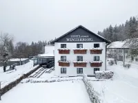 Hotel Winterberg Resort Hotels in Neuastenberg