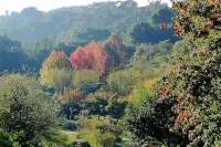Bramasole Boutique Hotel Hotel a Tzaneen