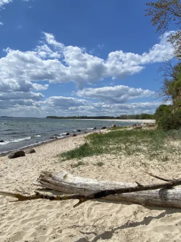 Pension & Ferienwohnungen Schneidereit