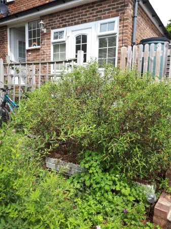 1-Bed Apartment in Lewes Located Near Town Centre!