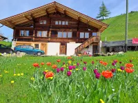 Chalet Grittelihus, Large Bathroom, Lots of Living Space, Nhe Interlaken