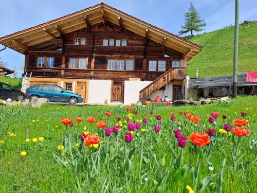 Chalet Grittelihus Near Interlaken, in a Natural Paradise
