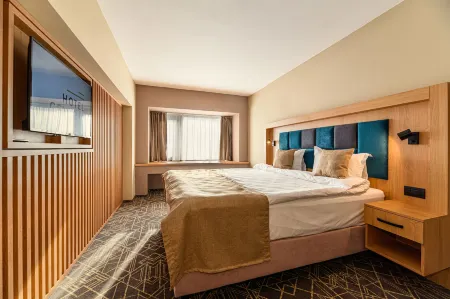 Hotel Central Pascani Отели в г. Пашкани