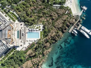 D Maris Bay