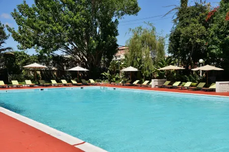 Carlton Madagascar Отели рядом с достопримечательностью «Ботанический и зоологический сад «Цимбазаза»»