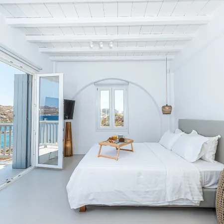 Carpe Diem Villas Mykonos ,Heated Pool!