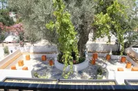 Daphnis Hotel فنادق في غولتوركبوكو