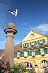 Weinhotel / Gasthaus Zur Sonne Hotels in Botzingen
