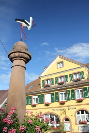 Weinhotel / Gasthaus Zur Sonne Отели в г. Айхштеттен