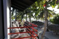 Hotel Zapata - Ocean View