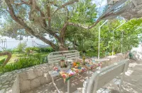 Apartments Zorica