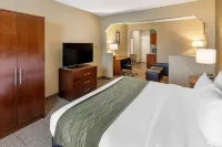 Comfort Inn & Suites Lincoln I-20 Hotels in Pell City