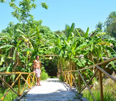 庭 フォーラ ダイビング リゾート パタヤ ビーチの写真