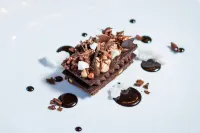 Schloss Hotel & Spa Pontresina