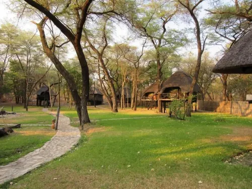The Tree Lodge at Sikumi Hotels in Hwange
