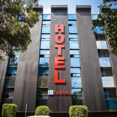 Hotel la Rosa - Adults Only Отели рядом с достопримечательностью «Театр «Феррокаррилеро»»
