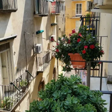 Bed and Breakfast Camere Primavera