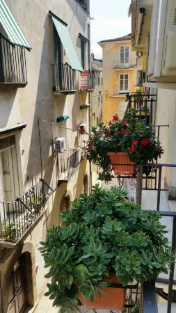 Bed and Breakfast Camere Primavera