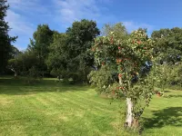 Rosebank B&B Hôtels à : Rother District