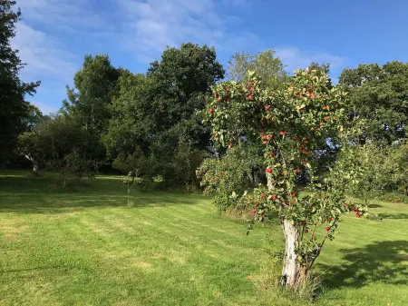 Rosebank B&B Отели в г. Тисхерст