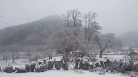 별동산 달빛아래 청송군 호텔