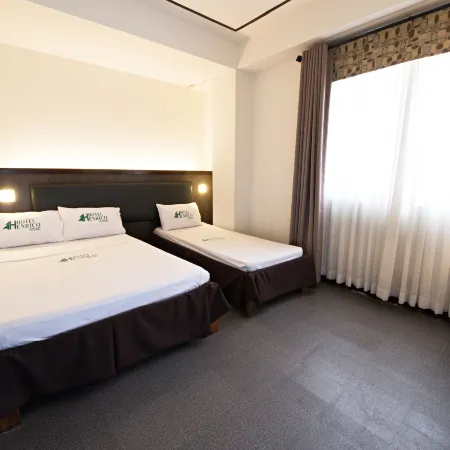 Hotel Henrico Kisad