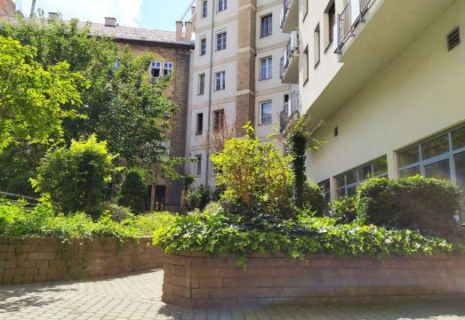 배가본드 다운타운