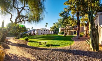 Scottsdale Camelback Resort