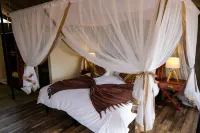 Honeyguide Tented Safari Camp - Khoka Moya Hotels in Hluvukani